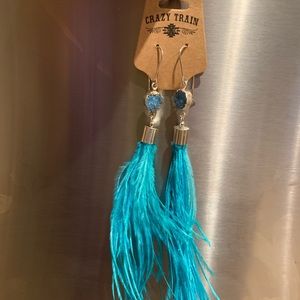 Crazy train feather earrings never worn
